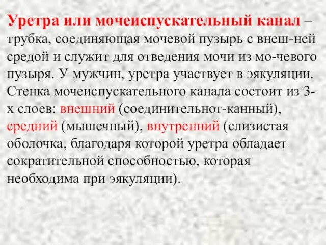 Уретра или мочеиспускательный канал – трубка, соединяющая мочевой пузырь с внеш-ней