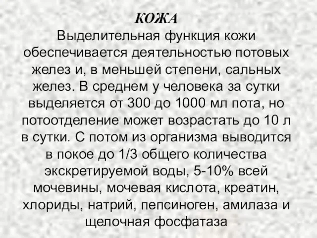 КОЖА Выделительная функция кожи обеспечивается деятельностью потовых желез и, в меньшей