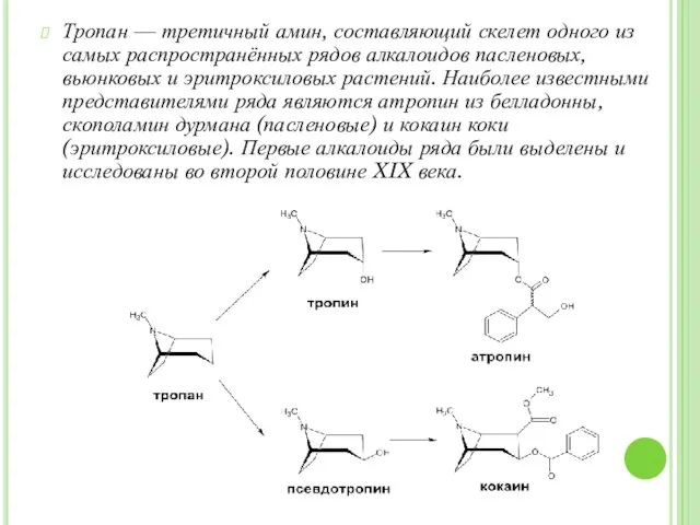 Тропан — третичный амин, составляющий скелет одного из самых распространённых рядов