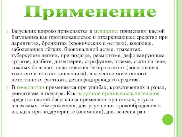 Применение Багульник широко применяется в медицине: применяют настой багульника как противокашлевое