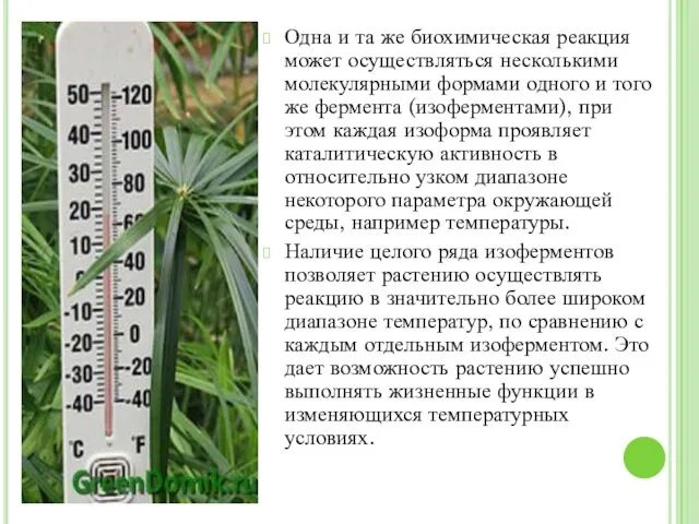 Одна и та же биохимическая реакция может осуществляться несколькими молекулярными формами