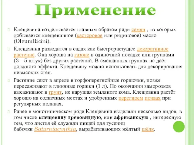 Применение Клещевина возделывается главным образом ради семян , из которых добывается