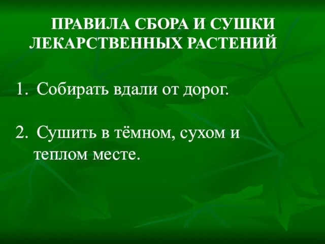 ПРАВИЛА СБОРА И СУШКИ ЛЕКАРСТВЕННЫХ РАСТЕНИЙ Собирать вдали от дорог. Сушить