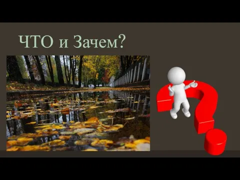 ЧТО и Зачем?