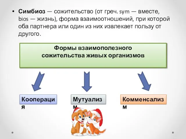 Симбиоз — сожительство (от греч. sym — вместе, bios — жизнь),