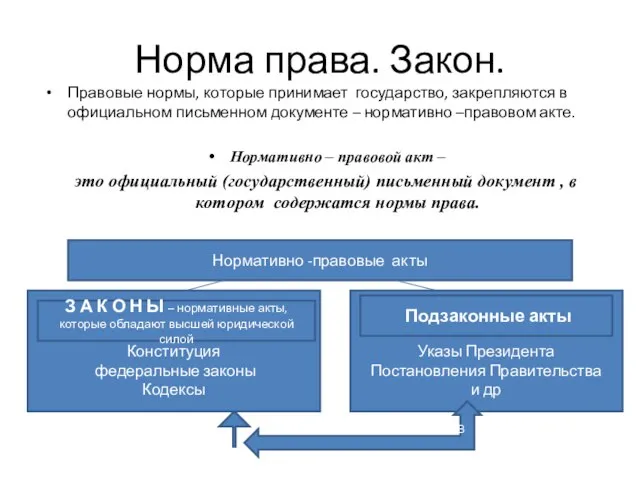 Норма права. Закон. Правовые нормы, которые принимает государство, закрепляются в официальном