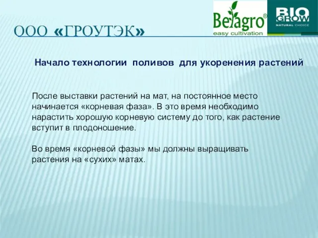 ООО «ГРОУТЭК» Начало технологии поливов для укоренения растений После выставки растений