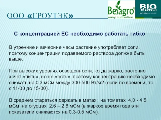 ООО «ГРОУТЭК» В утренние и вечерние часы растение употребляет соли, поэтому