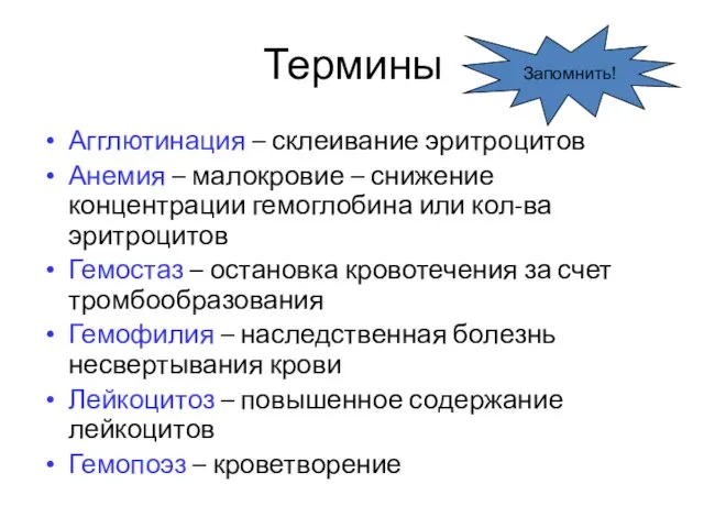 Термины Агглютинация – склеивание эритроцитов Анемия – малокровие – снижение концентрации