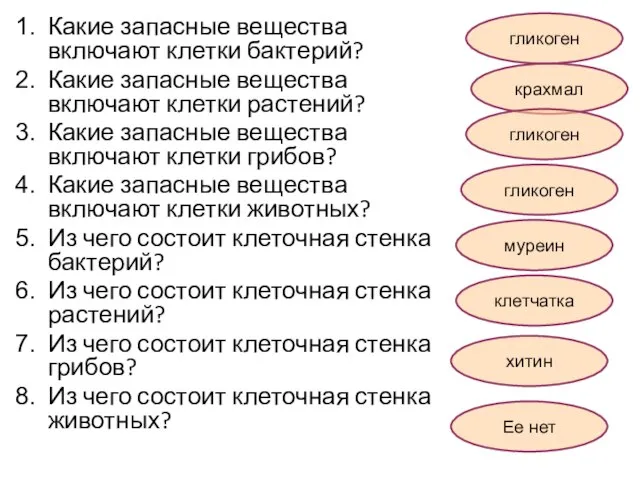 Какие запасные вещества включают клетки бактерий? Какие запасные вещества включают клетки