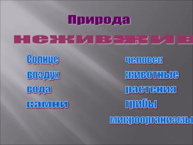 Природа воздух Солнце вода камни человек животные растения грибы микроорганизмы неживая живая