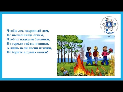 Чтобы лес, звериный дом, Не пылал нигде огнём, Чтоб не плакали