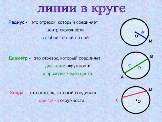 Радиус - это отрезок, который соединяет центр окружности с любой точкой