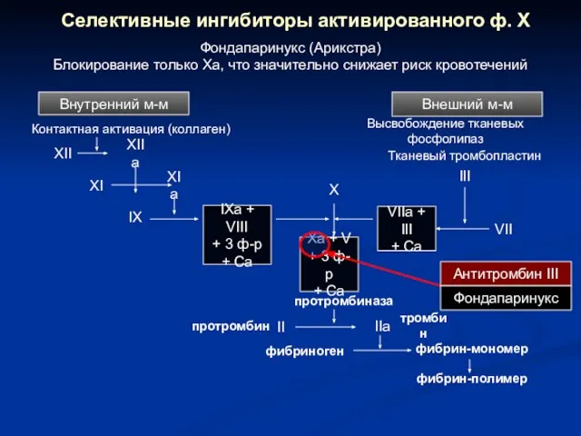 IIa II фибрин-полимер Внешний м-м Высвобождение тканевых фосфолипаз Xa + V