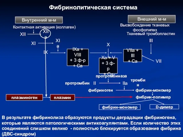 Фибринолитическая система VII тромбин Внешний м-м Высвобождение тканевых фосфолипаз Тканевый тромбопластин