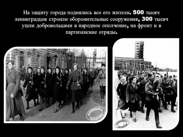 На защиту города поднялись все его жители. 500 тысяч ленинградцев строили