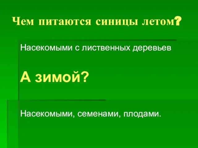 Чем питаются синицы летом? Насекомыми с лиственных деревьев А зимой? Насекомыми, семенами, плодами.