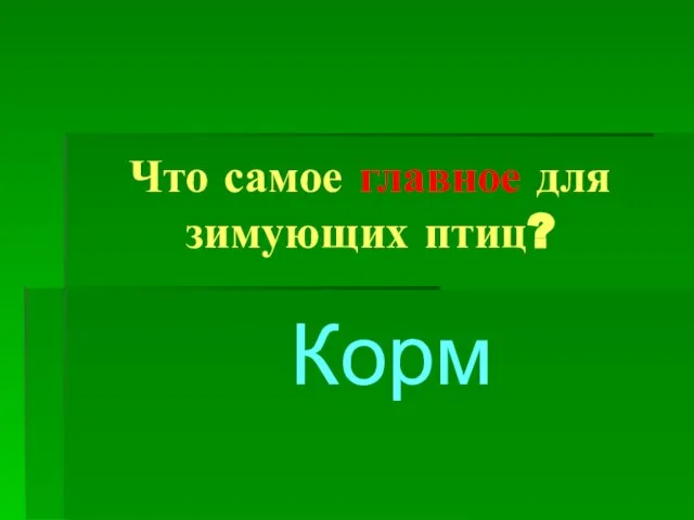 Что самое главное для зимующих птиц? Корм