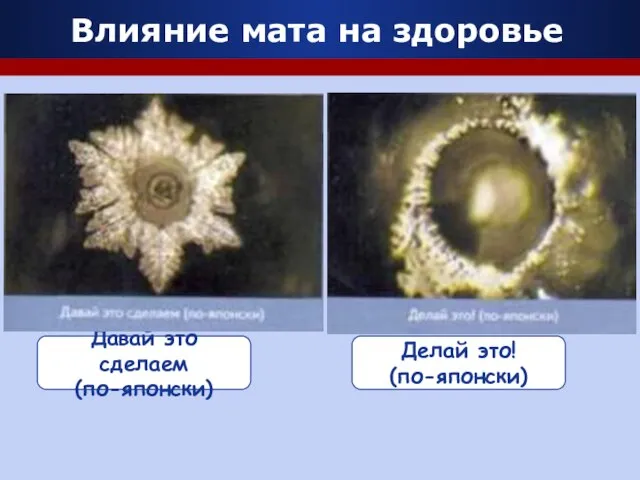 Влияние мата на здоровье Давай это сделаем (по-японски) Делай это! (по-японски)