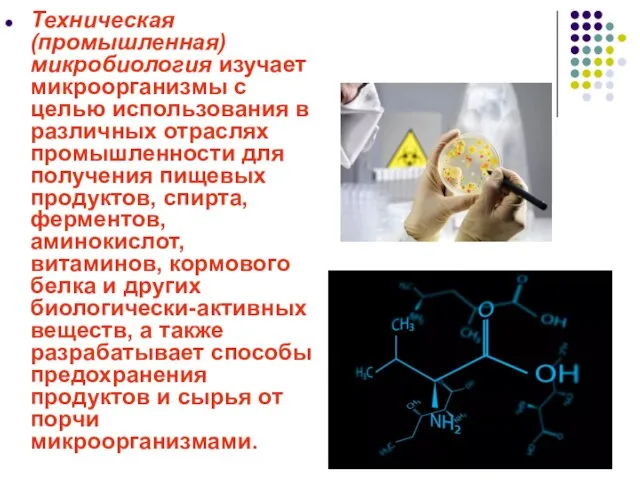 Техническая (промышленная) микробиология изучает микроорганизмы с целью использования в различных отраслях