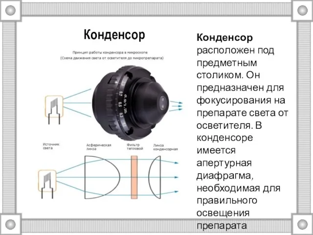 Конденсор Конденсор расположен под предметным столиком. Он предназначен для фокусирования на