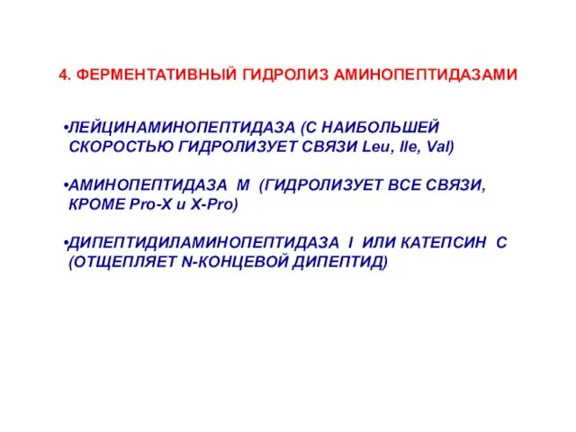 4. ФЕРМЕНТАТИВНЫЙ ГИДРОЛИЗ АМИНОПЕПТИДАЗАМИ ЛЕЙЦИНАМИНОПЕПТИДАЗА (С НАИБОЛЬШЕЙ СКОРОСТЬЮ ГИДРОЛИЗУЕТ СВЯЗИ Leu,