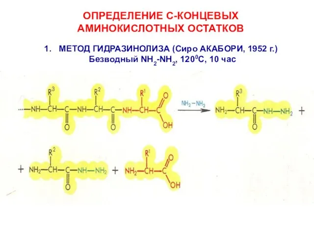 ОПРЕДЕЛЕНИЕ С-КОНЦЕВЫХ АМИНОКИСЛОТНЫХ ОСТАТКОВ МЕТОД ГИДРАЗИНОЛИЗА (Сиро АКАБОРИ, 1952 г.) Безводный NH2-NH2, 1200C, 10 час