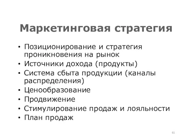 Маркетинговая стратегия Позиционирование и стратегия проникновения на рынок Источники дохода (продукты)