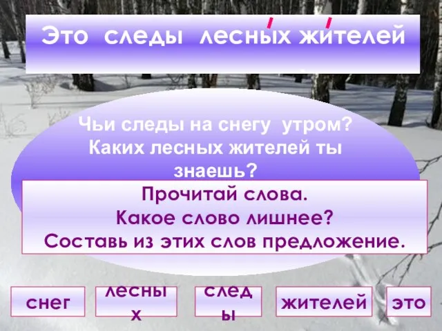 Это следы лесных жителей. . Чьи следы на снегу утром? Каких