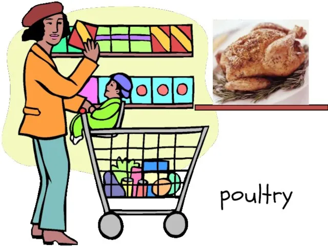 poultry