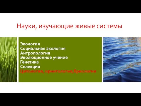 Науки, изучающие живые системы Экология Социальная экология Антропология Эволюционное учение Генетика Селекция Цитология, орнитология,бриология