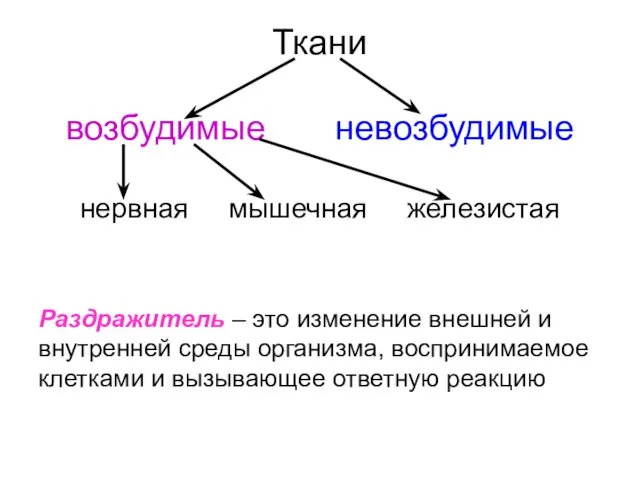 Ткани возбудимые невозбудимые нервная мышечная железистая Раздражитель – это изменение внешней