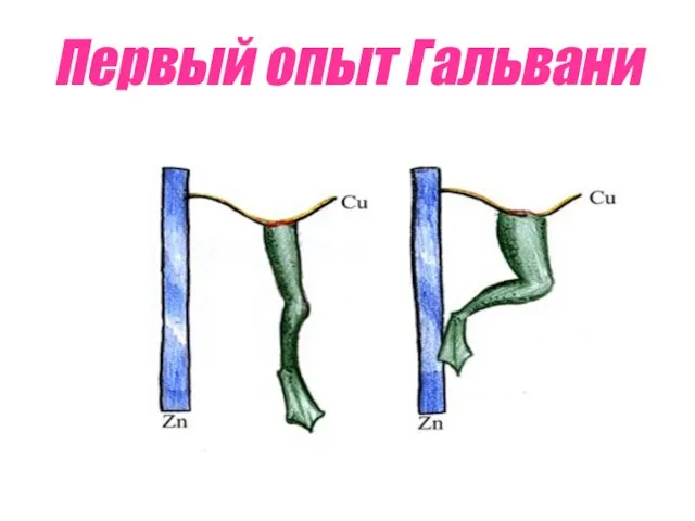 Первый опыт Гальвани