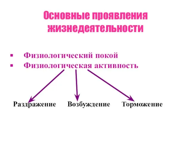 Основные проявления жизнедеятельности Физиологический покой Физиологическая активность Раздражение Возбуждение Торможение