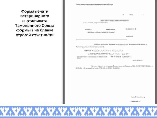 Форма печати ветеринарного сертификата Таможенного Союза формы 2 на бланке строгой отчетности