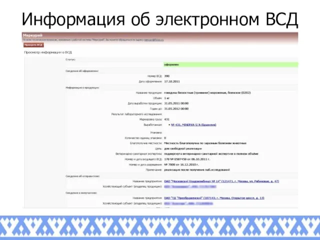 Информация об электронном ВСД