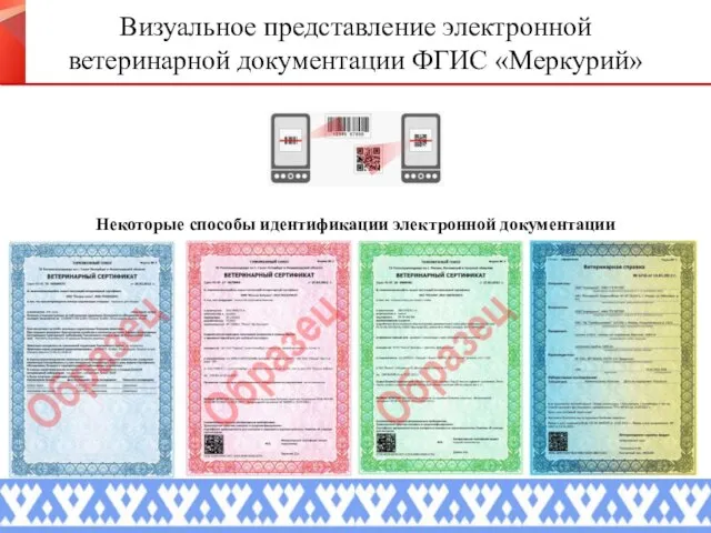 Некоторые способы идентификации электронной документации Визуальное представление электронной ветеринарной документации ФГИС «Меркурий»