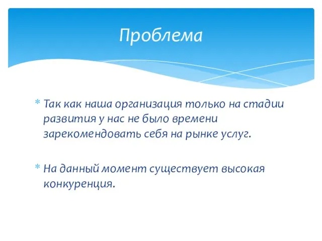 Так как наша организация только на стадии развития у нас не