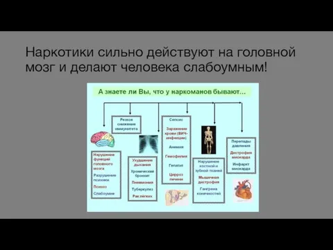 Наркотики сильно действуют на головной мозг и делают человека слабоумным!