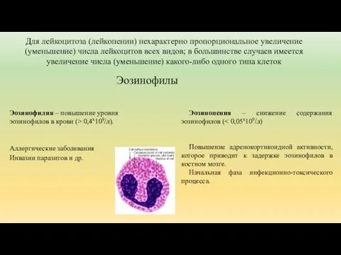 Для лейкоцитоза (лейкопении) нехарактерно пропорциональное увеличение (уменьшение) числа лейкоцитов всех видов;