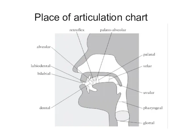 Place of articulation chart