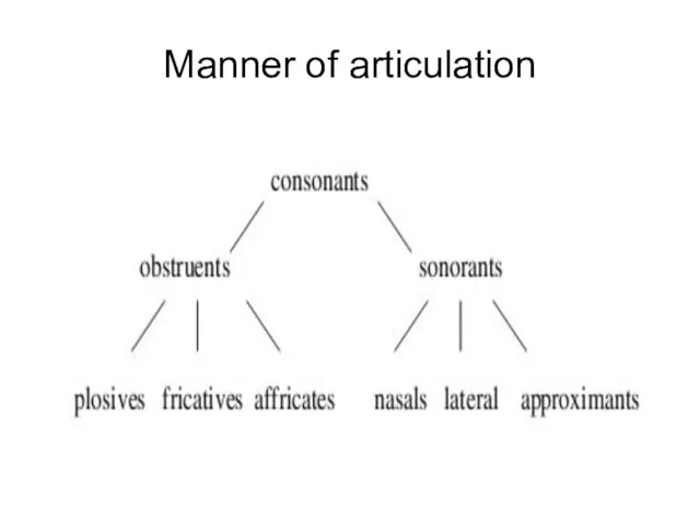 Manner of articulation