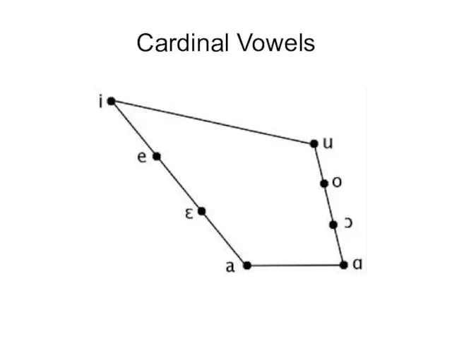 Cardinal Vowels