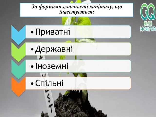 За формами власності капіталу, що інвестується: