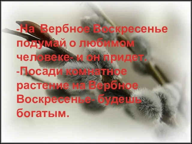 -На Вербное Воскресенье подумай о любимом человеке- и он придет. -Посади