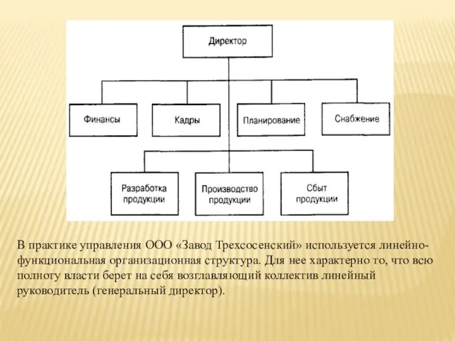 В практике управления ООО «Завод Трехсосенский» используется линейно-функциональная организационная структура. Для