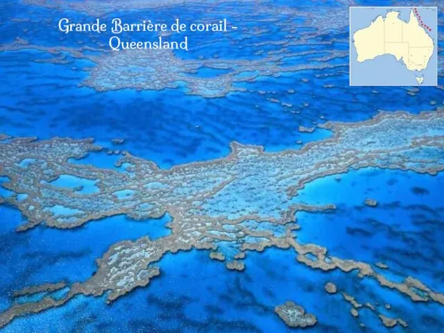 Grande Barrière de corail - Queensland