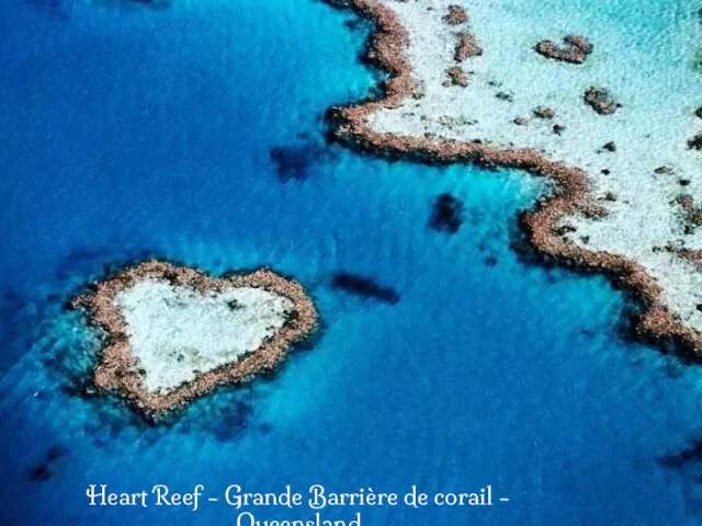 Heart Reef - Grande Barrière de corail - Queensland