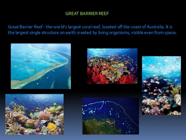 Great Barrier Reef - the world's largest coral reef, located off