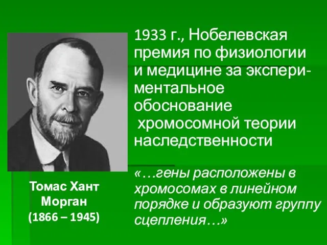 Томас Хант Морган (1866 – 1945) 1933 г., Нобелевская премия по